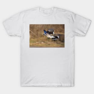 Have nut - Will travel - Blue Jay T-Shirt